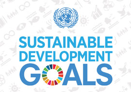 SDG Sheet