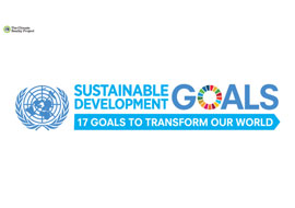 SDG Slides