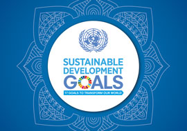 SDG Booklet