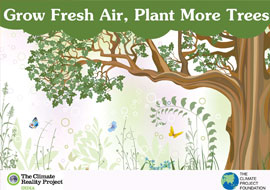 Grow Trees - Grow Fresh Air, Plant More Tree