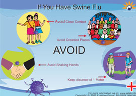 If You Have Swine Flu